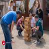 images/galerie/firmen/team_challenge/abenteuer-erleben-teamchallenge-speyer-nr--8.jpg