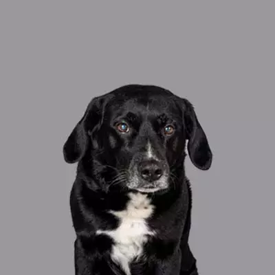 images/portfolio/team-pipo-abenteuer-erleben-002.jpg#joomlaImage://local-images/portfolio/team-pipo-abenteuer-erleben-002.jpg?width=400&height=400